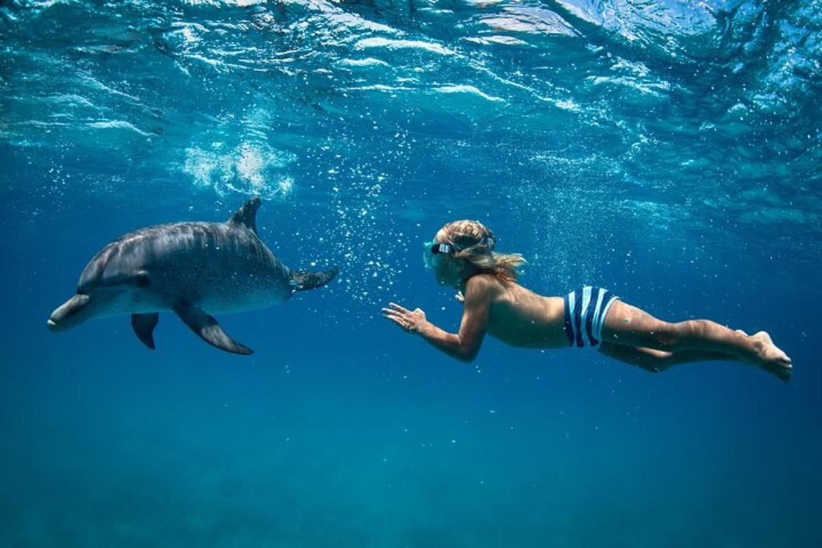 una mujer nadando en el agua con un delfín