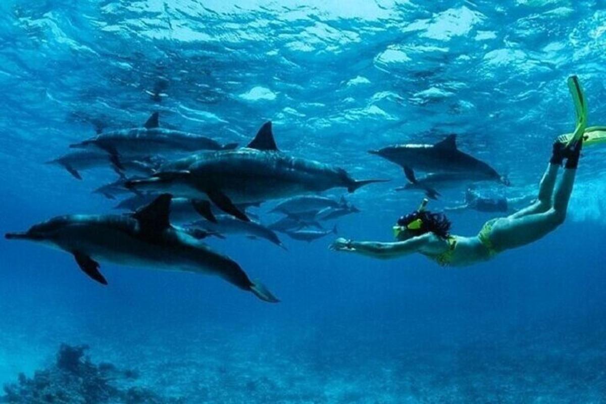 un hombre nadando con tiburones en el agua