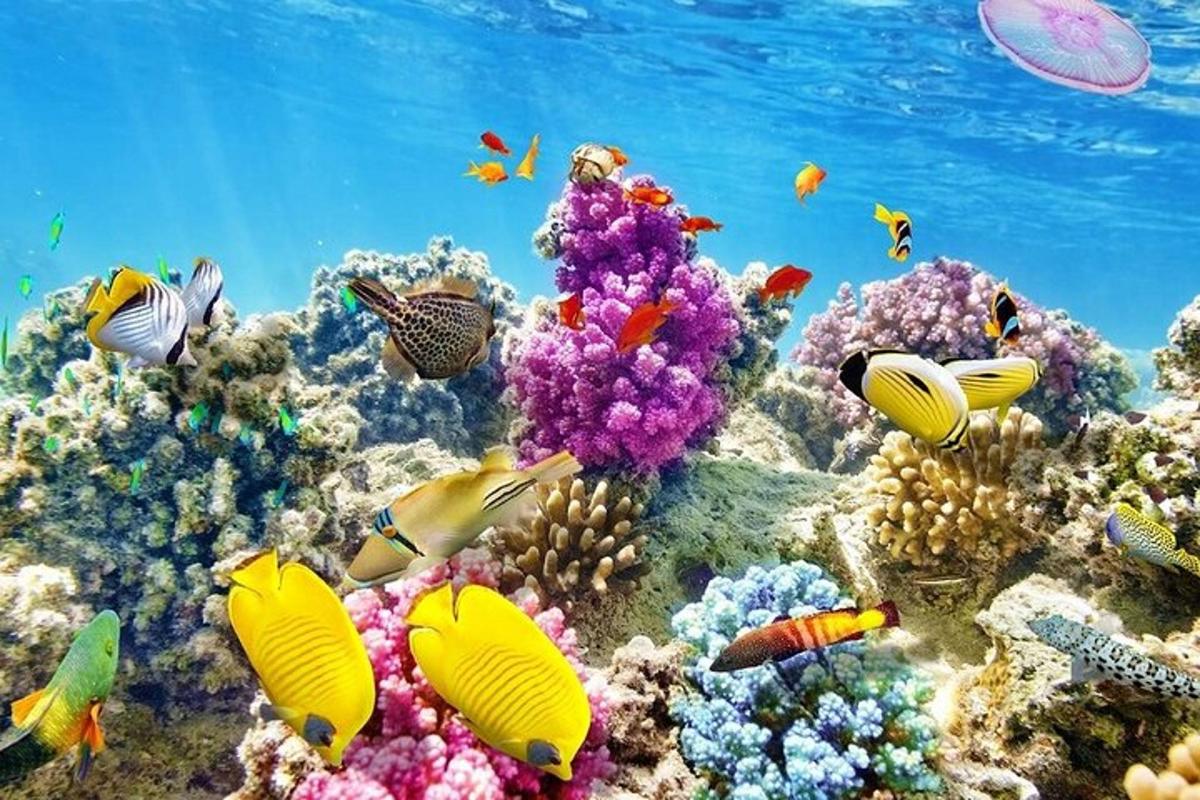 un arrecife de coral con peces en el océano