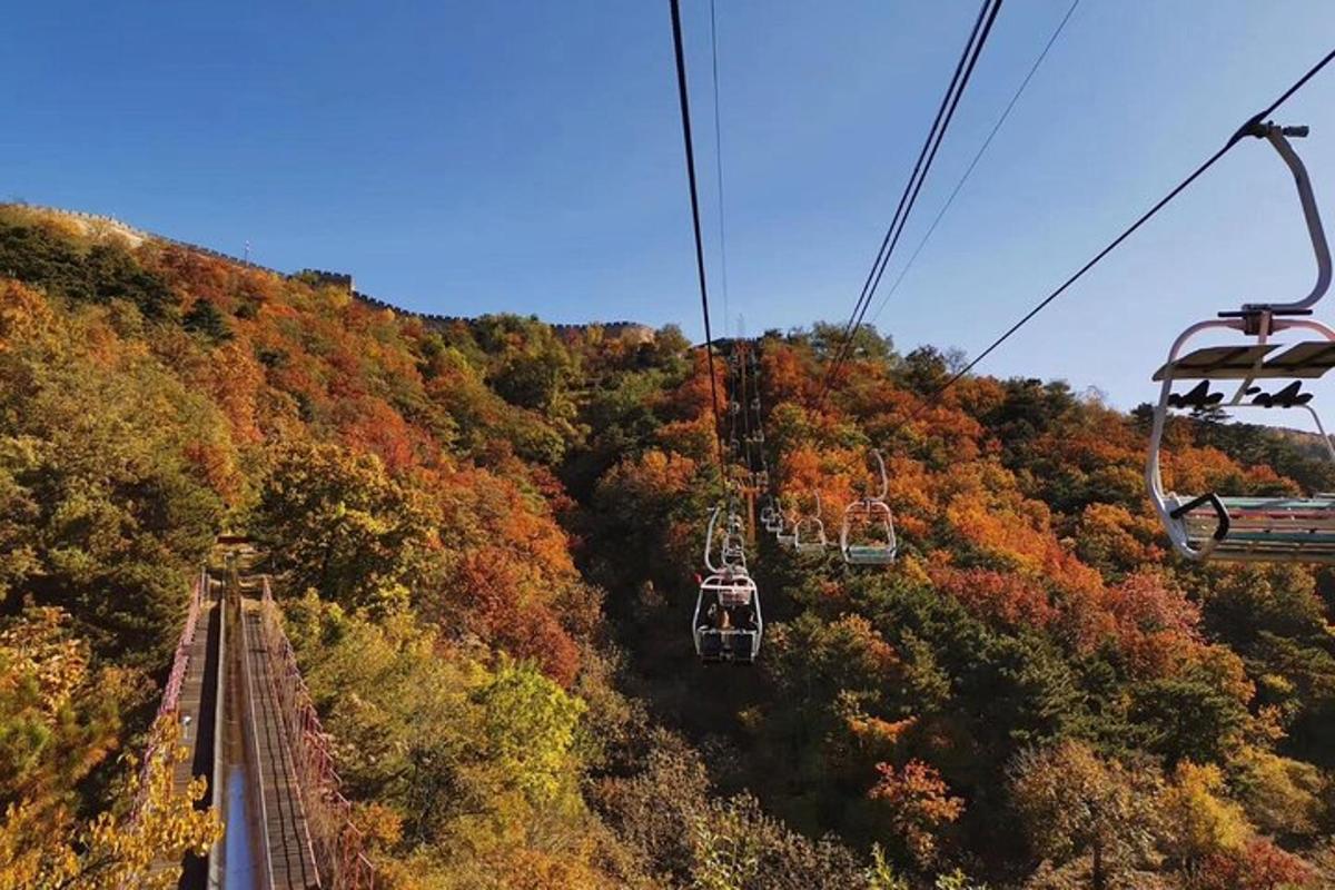 a group of gondolas on a ski lift over a forest