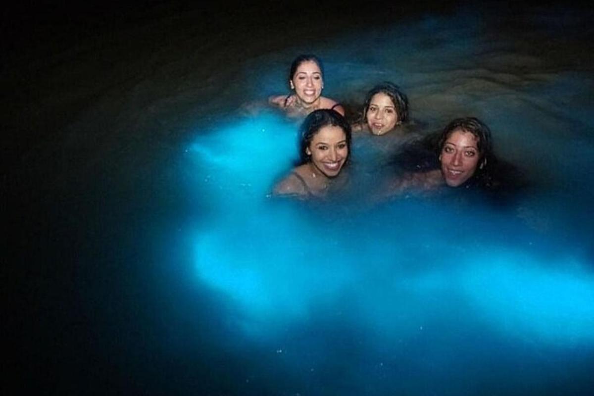 un grupo de personas nadando en el agua