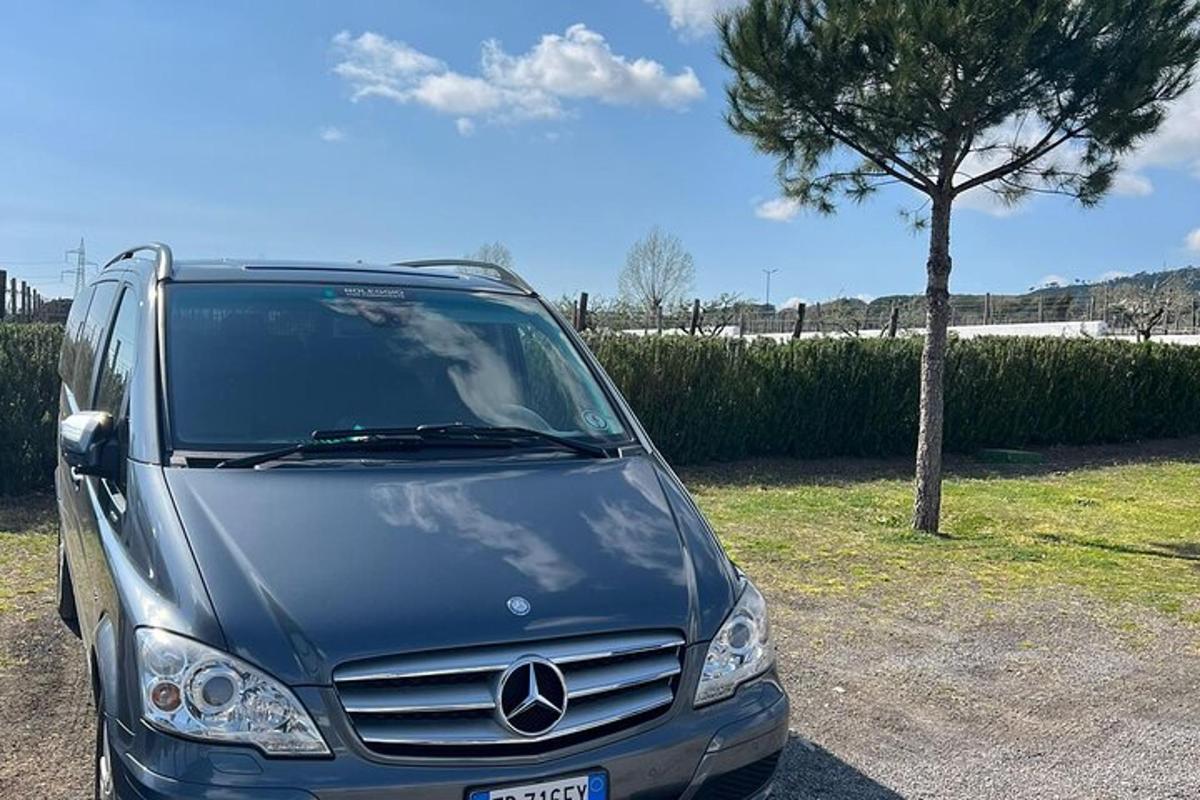kombi parkiran na parkirišču poleg drevesa