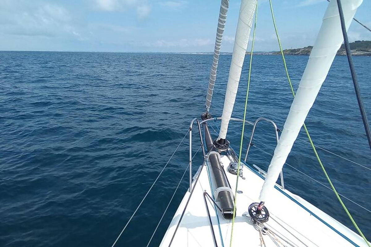 bel čoln v vodi z oceanom