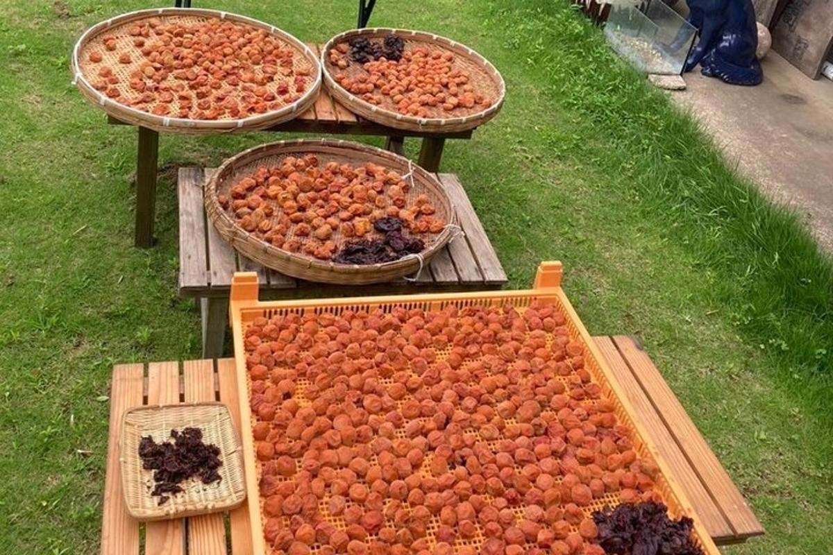 Τρία καλάθια με φρούτα σε τραπέζια πικνίκ σε ένα χωράφι