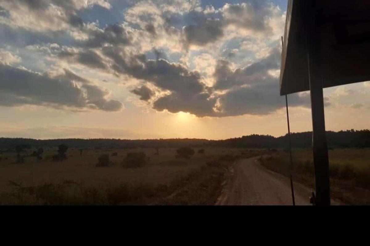 egy földút látványa egy buszról