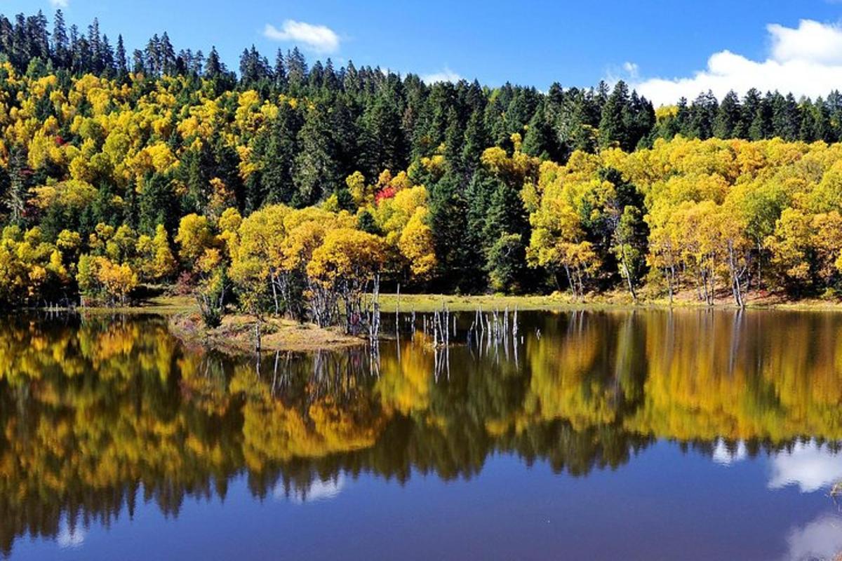 a view of a lake with trees in the background