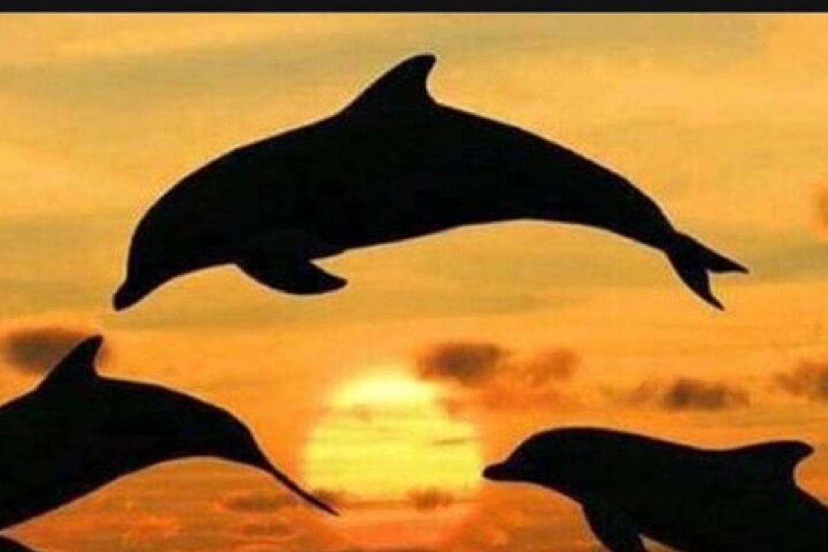 un dipinto di tre delfini che saltano nell'oceano