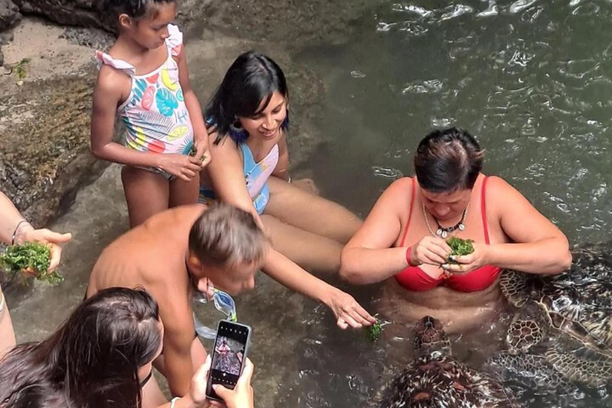 un gruppo di persone che nuotano nell'acqua