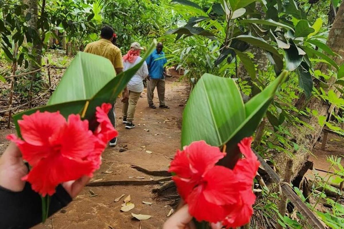 a group of people walking down a dirt trail with red flowers