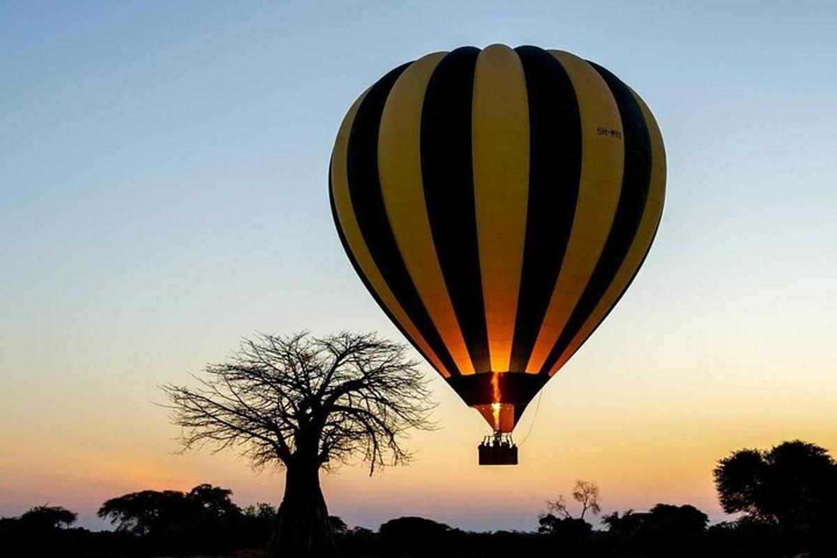 una mongolfiera che vola sopra un albero al tramonto