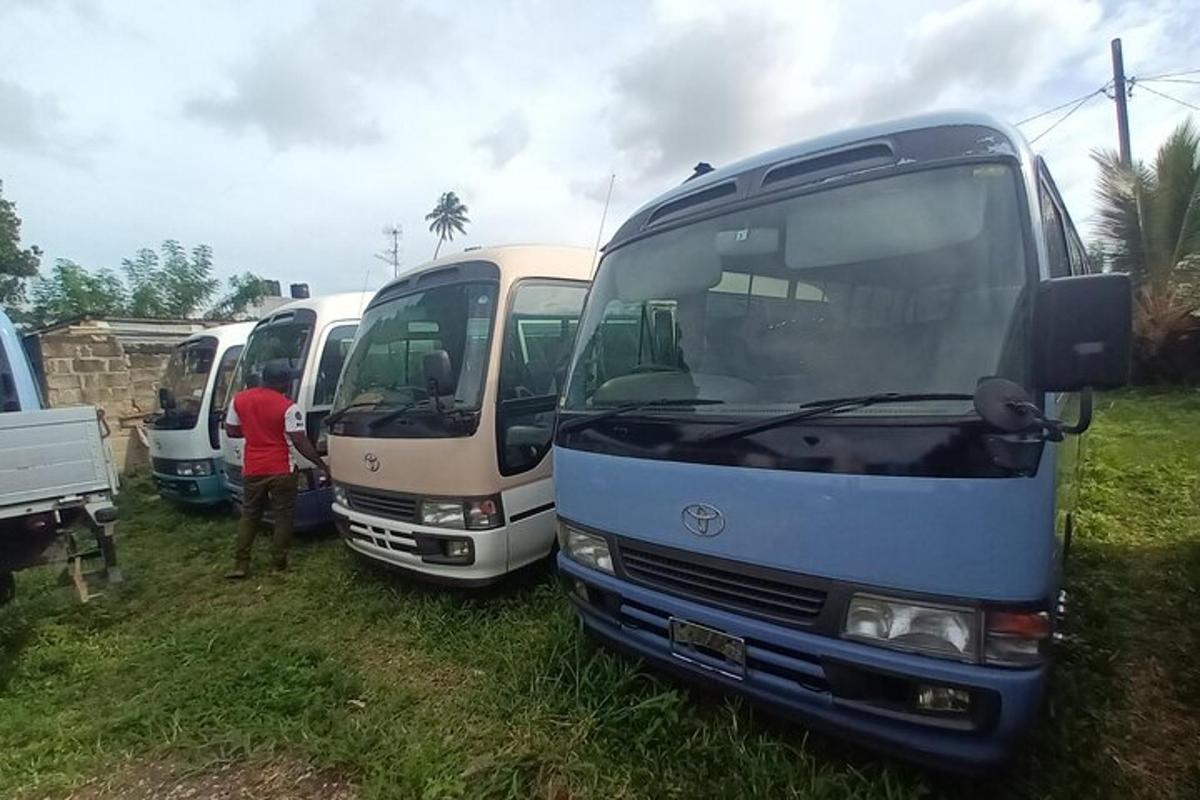 un gruppo di autobus parcheggiati in un campo