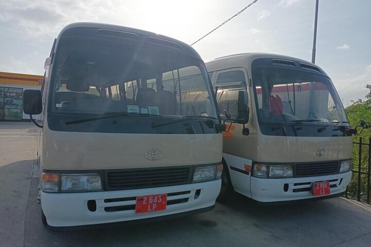 due autobus parcheggiati uno accanto all'altro in un parcheggio