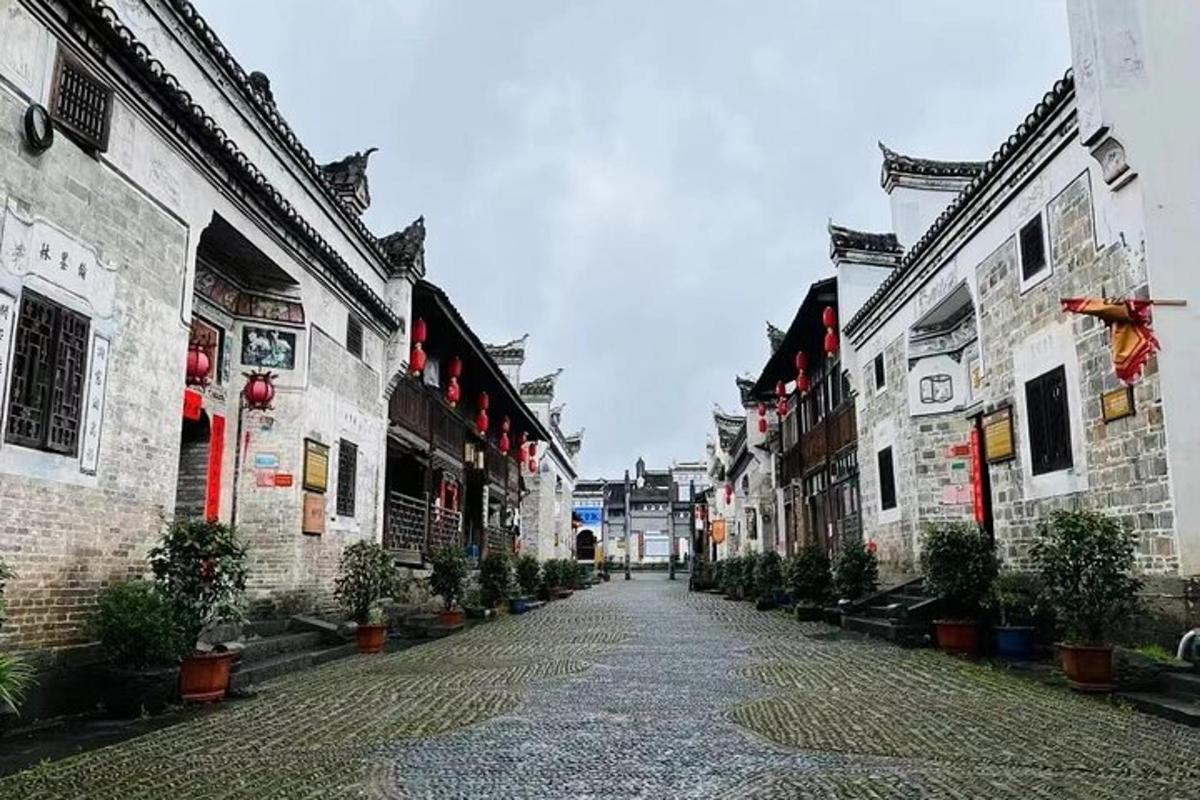 建筑物侧面摆放着盆栽的小巷