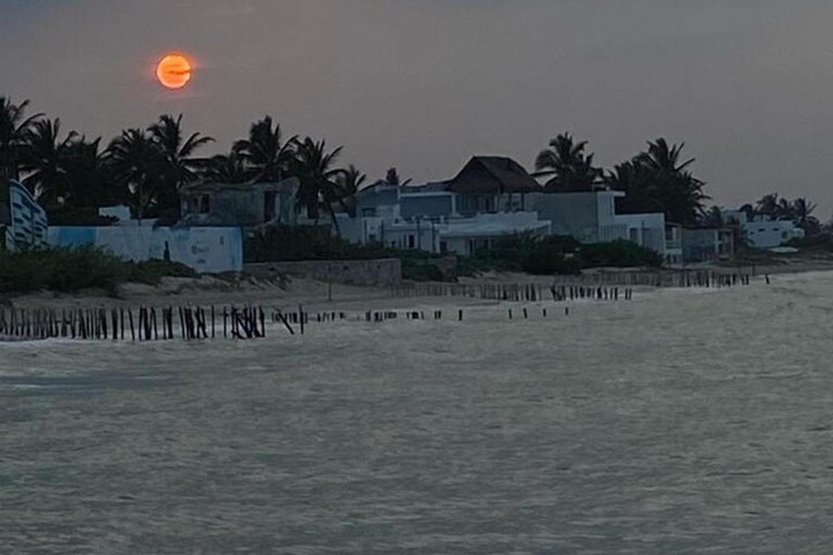 un tramonto su una spiaggia con case e alberi