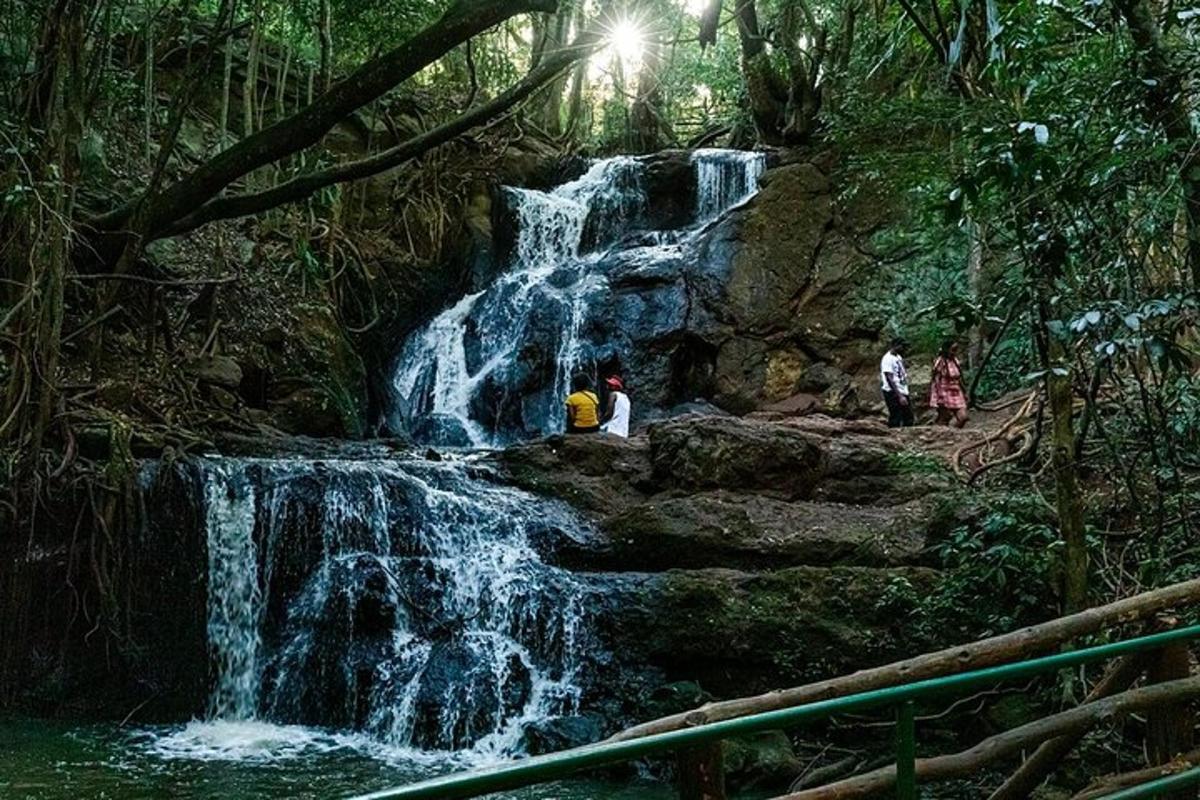 Un grupo de personas de pie frente a una cascada.