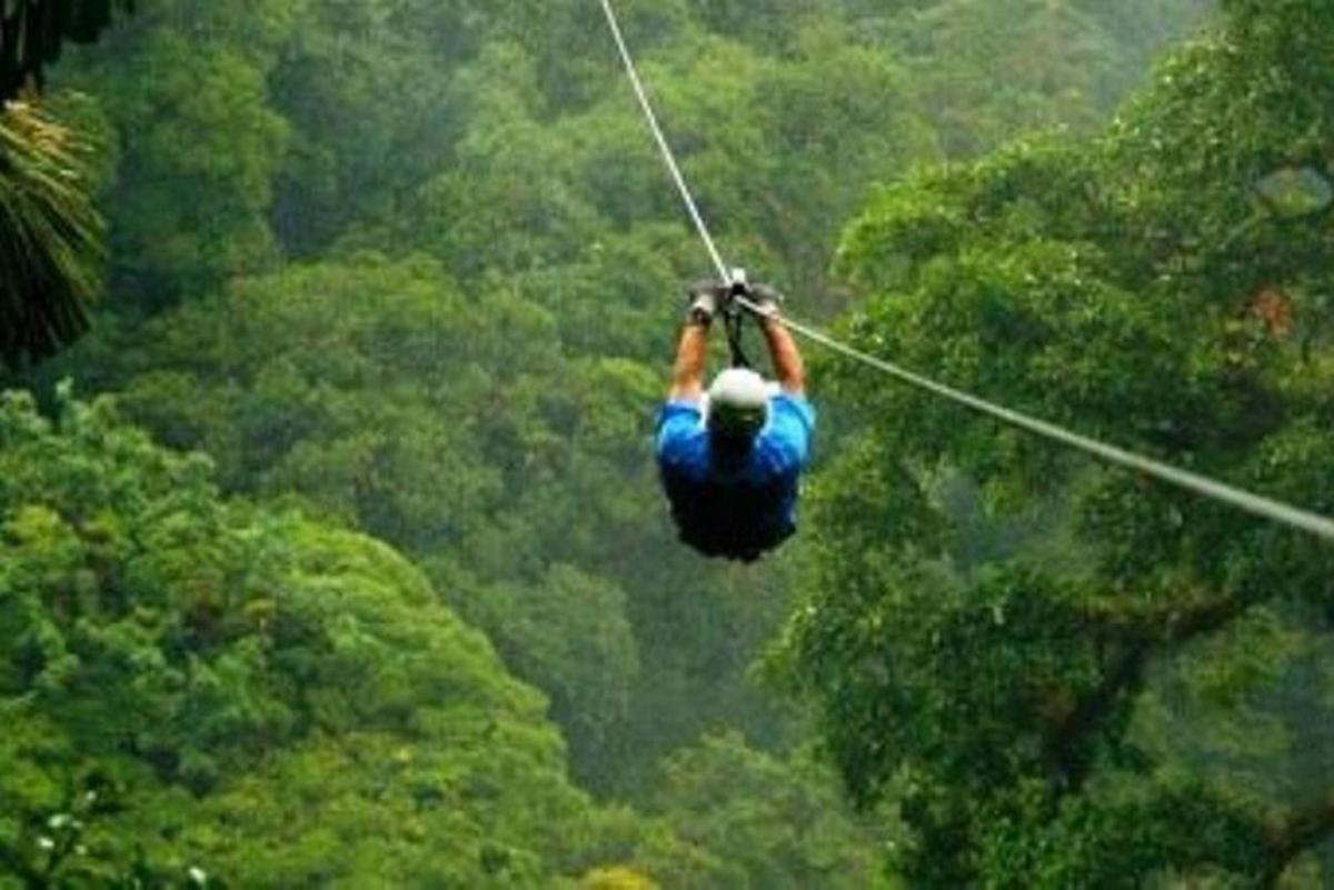 un hombre en una tirolina en la jungla