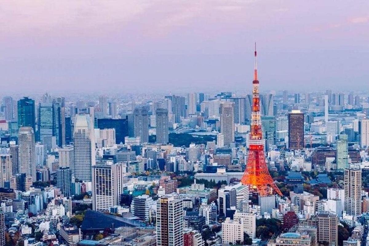 una vista di una grande città con la torre di Tokyo