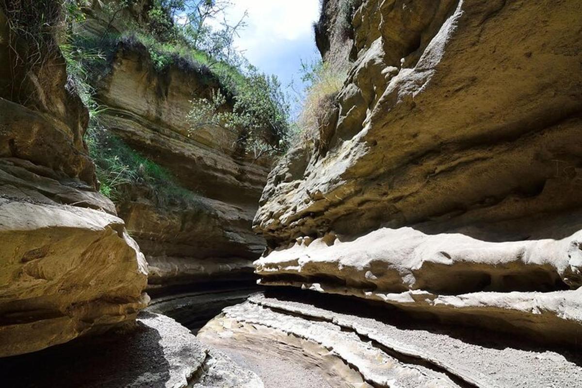 a canyon with a river in the middle