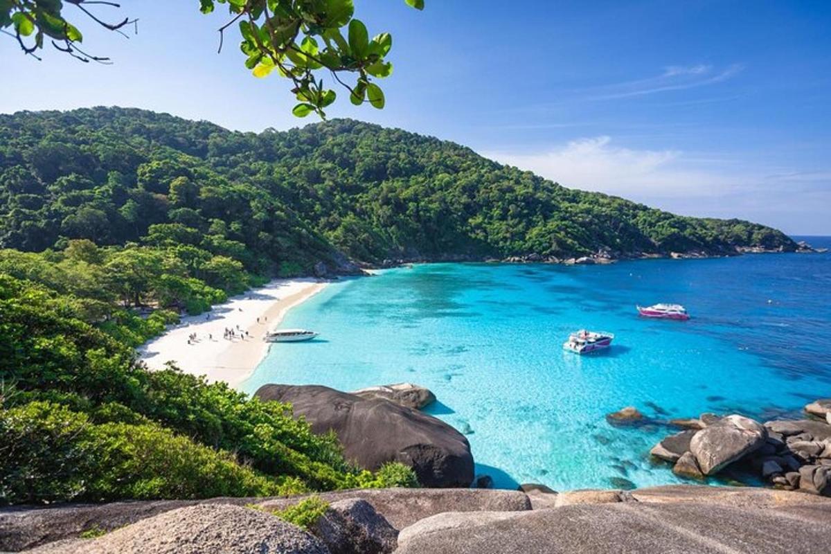 una playa con barcos y gente en el agua