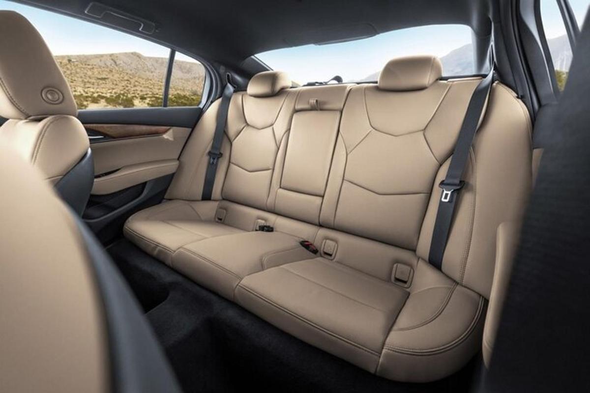 una vista del asiento trasero de un coche
