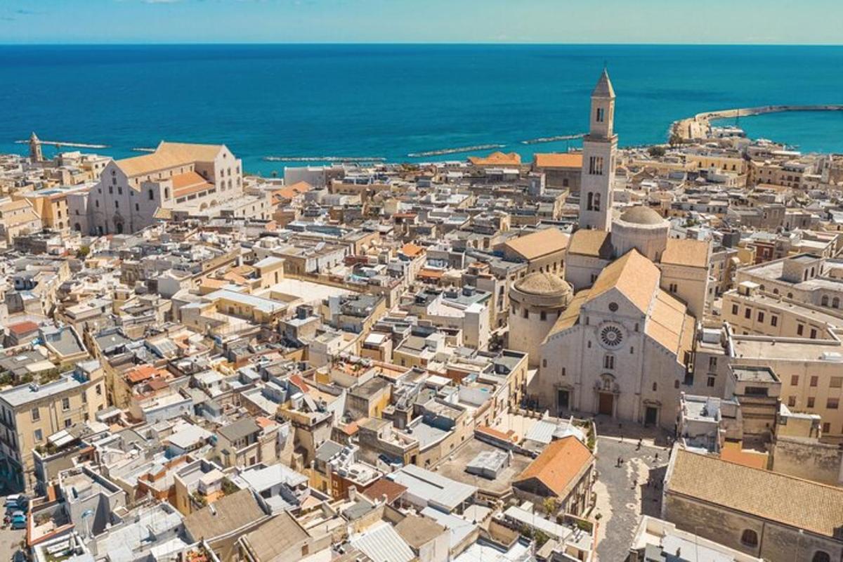 an aerial view of a city with a church and the ocean