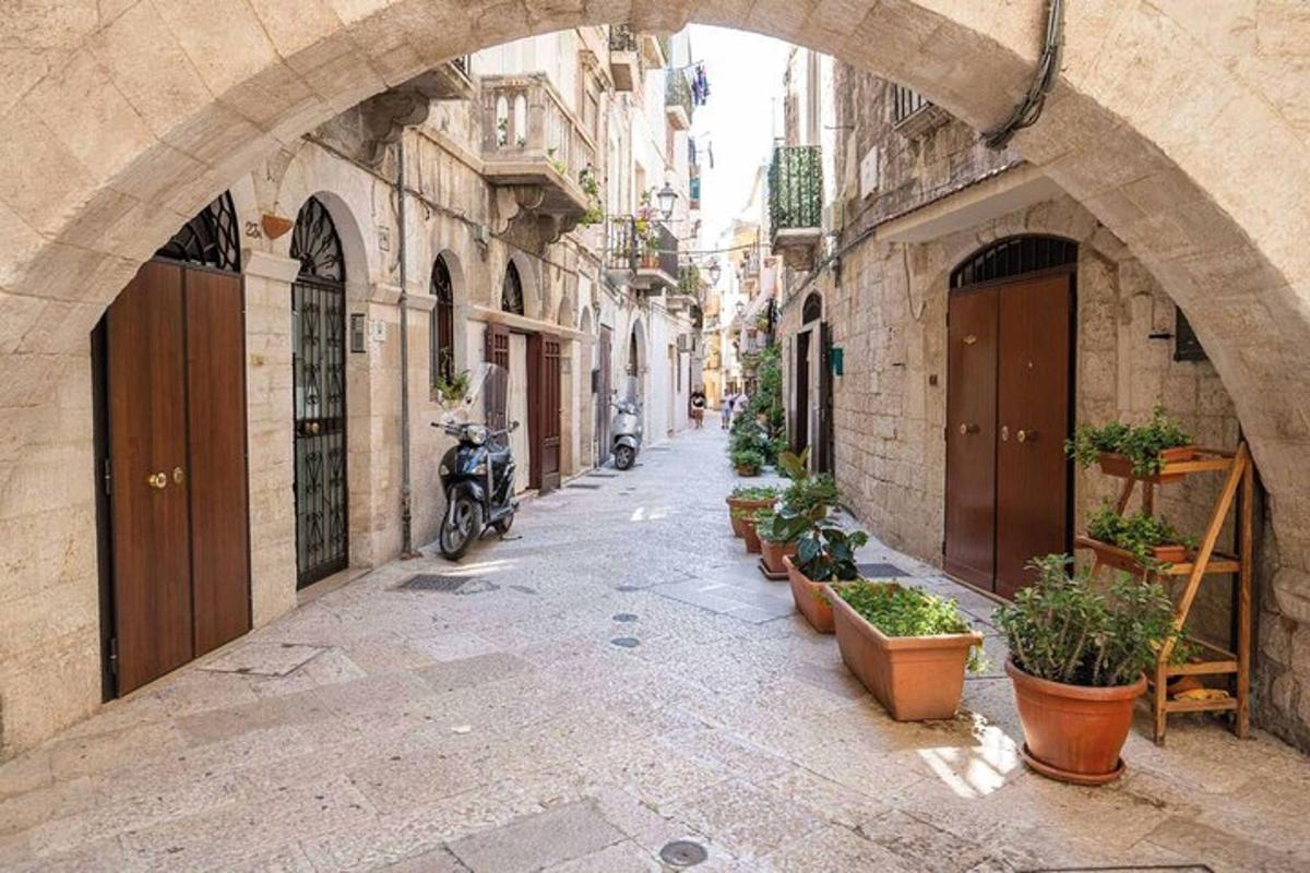 an alley with potted plants in an archway