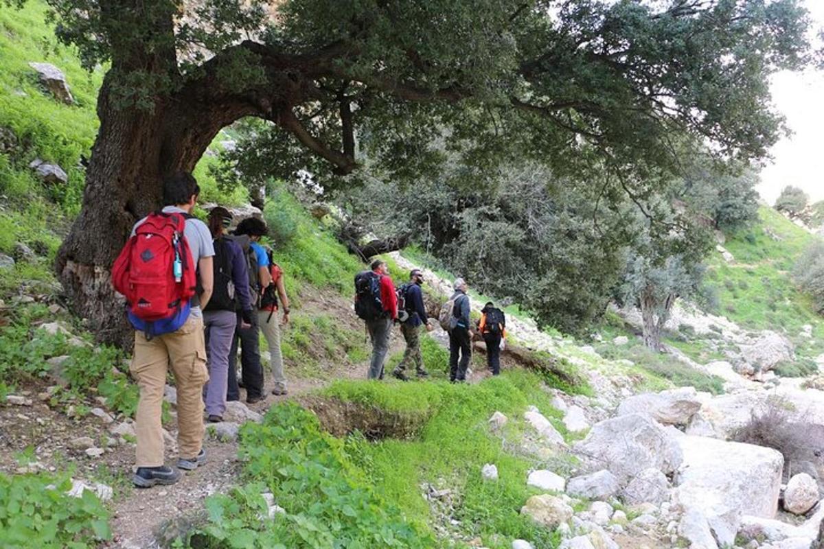 صورة رقم 6 للمعلم السياحي