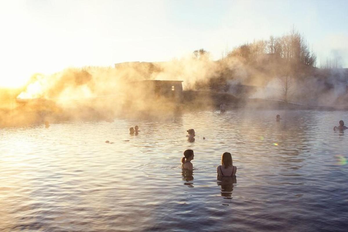 un groupe de personnes nageant dans l'eau