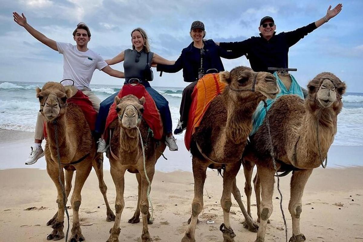 sekumpulan orang menunggang unta di pantai