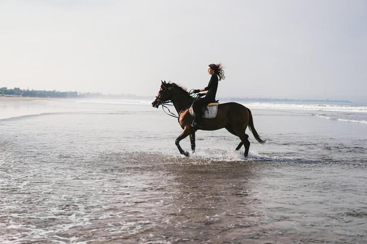 ženska, ki jaha konja skozi vodo na plaži