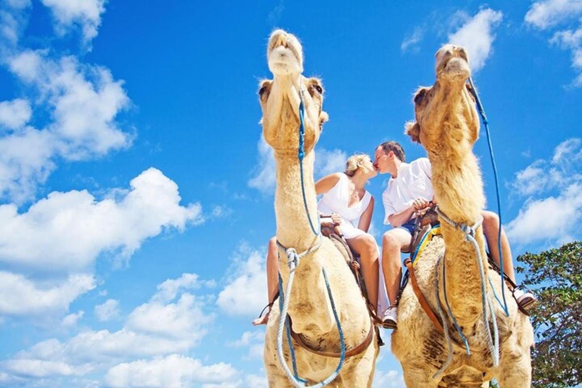 مجموعة من الناس يركبون على ظهر الجمل