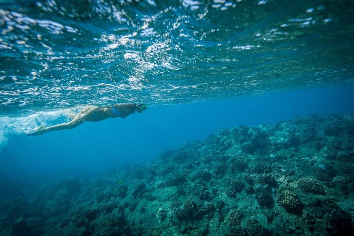 Una vista del océano desde debajo del agua