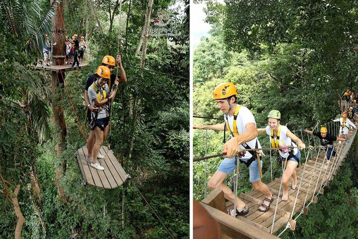 um grupo de pessoas em uma tirolesa na selva