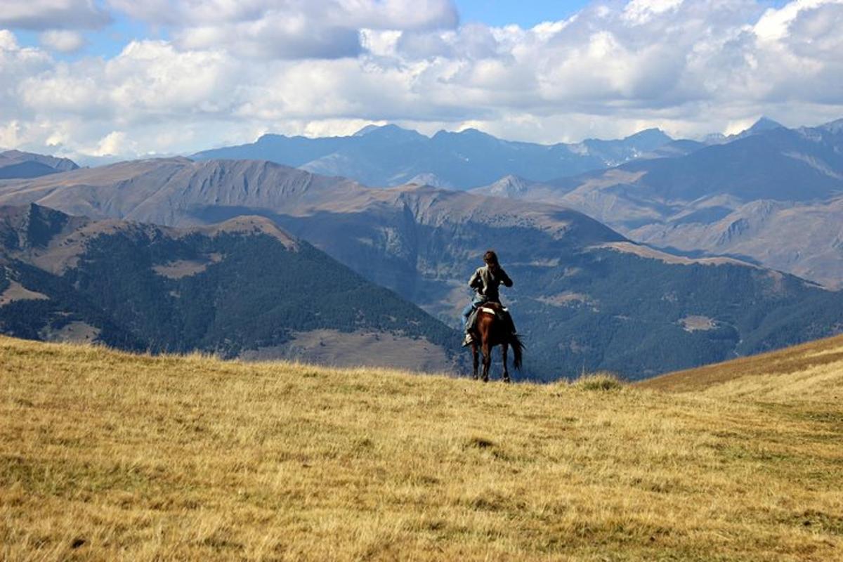 una persona a cavallo in cima a una montagna