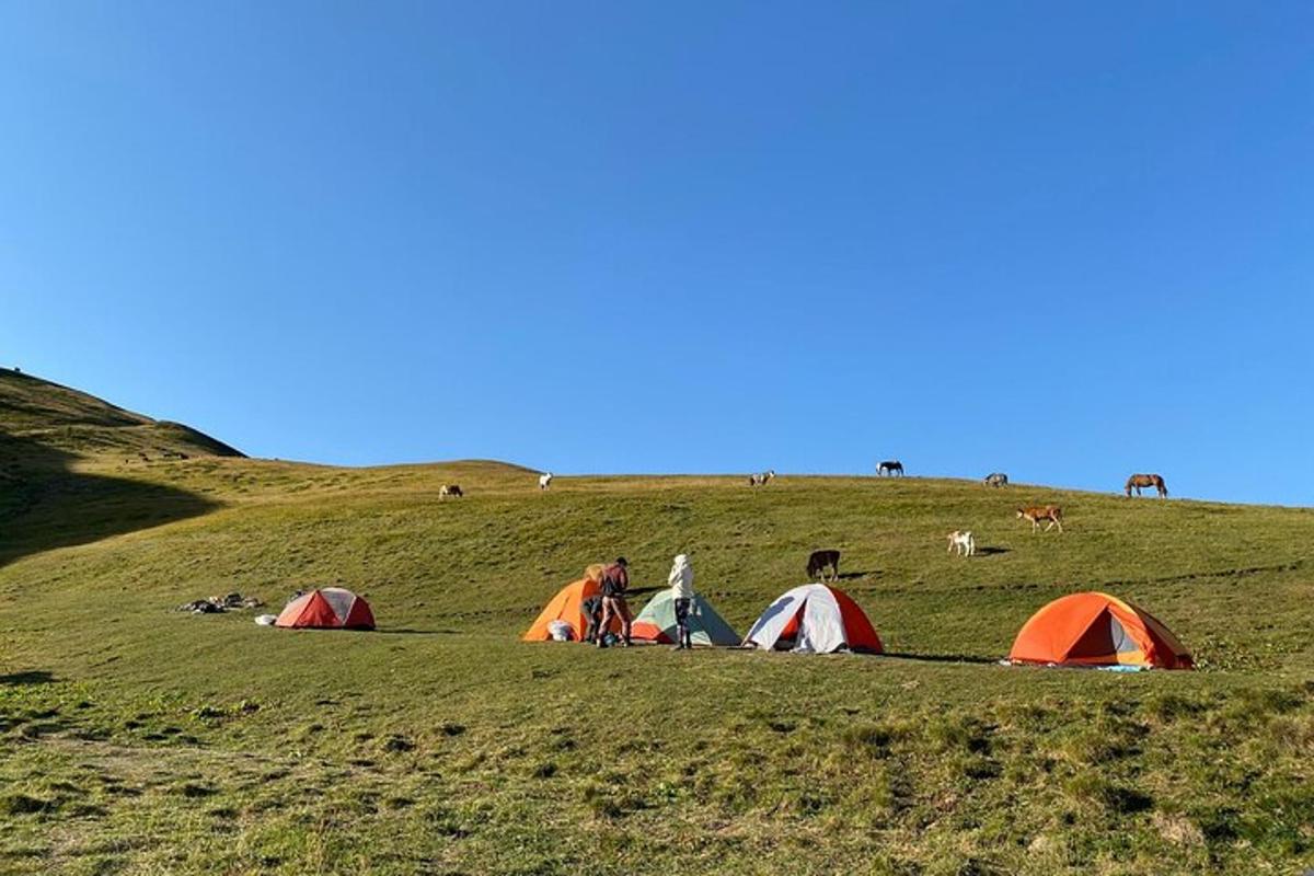 un gruppo di persone in piedi in un campo con le tende