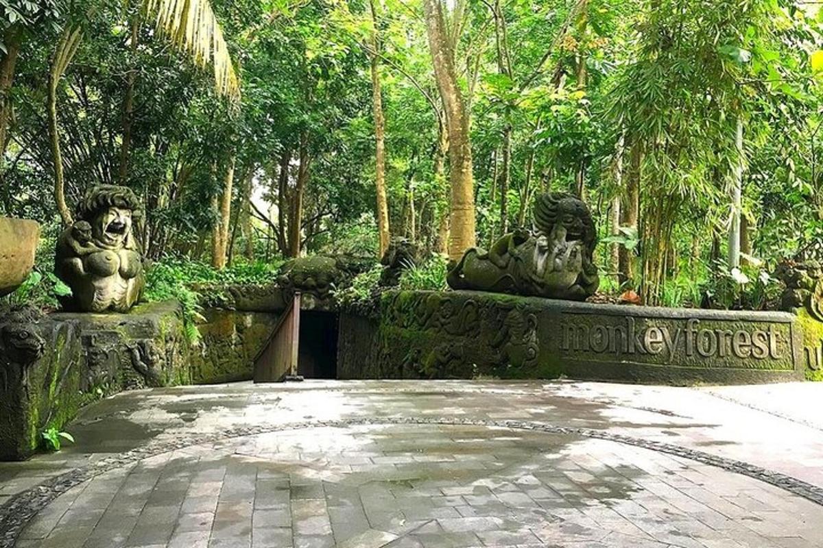 dua patung singa di taman dengan pokok