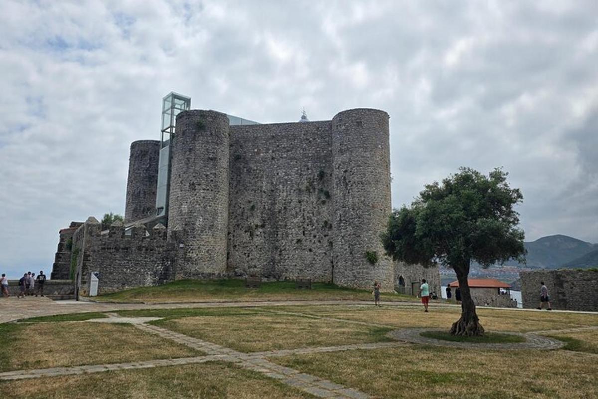 a large castle with a tree in front of it