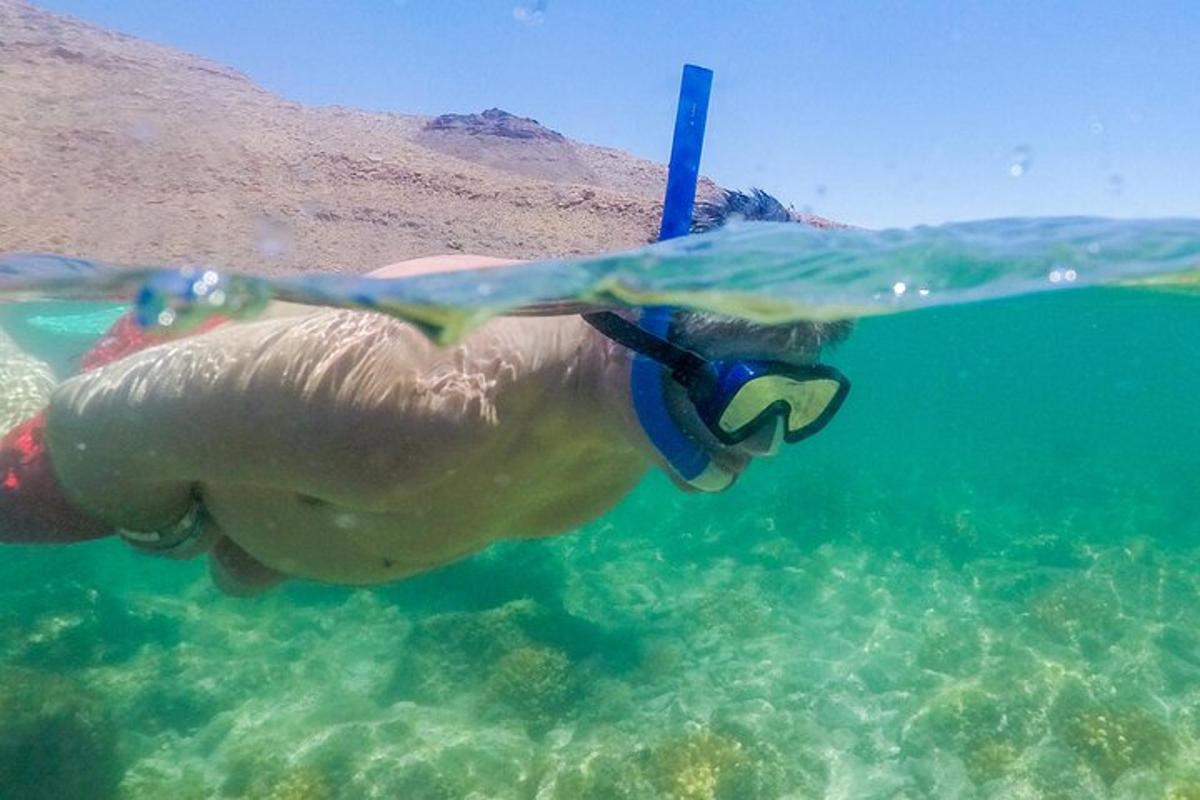 ένα άτομο που κολυμπάει στον ωκεανό με νερό