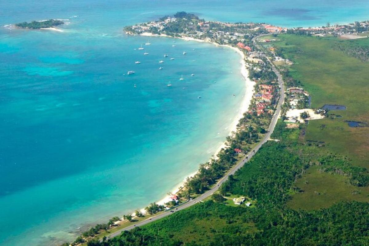 una vista aerea di una spiaggia e dell'oceano
