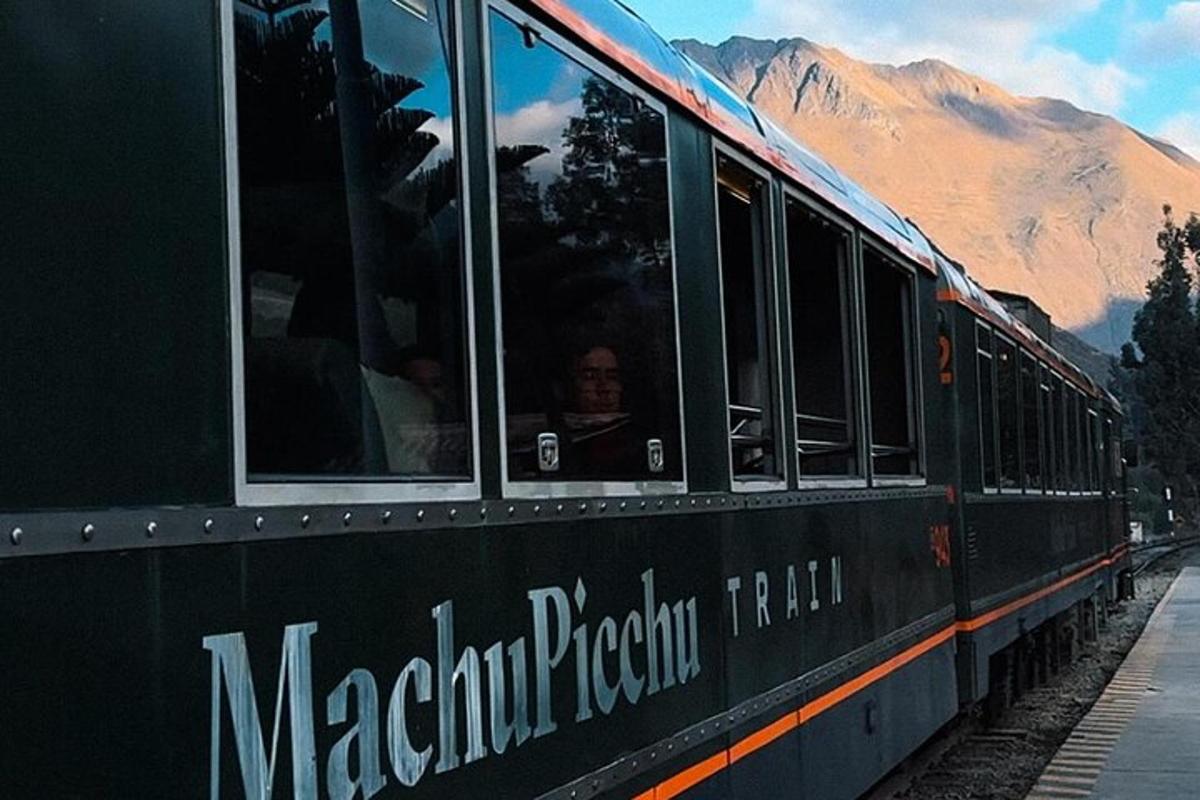 a black train with a man looking out the window