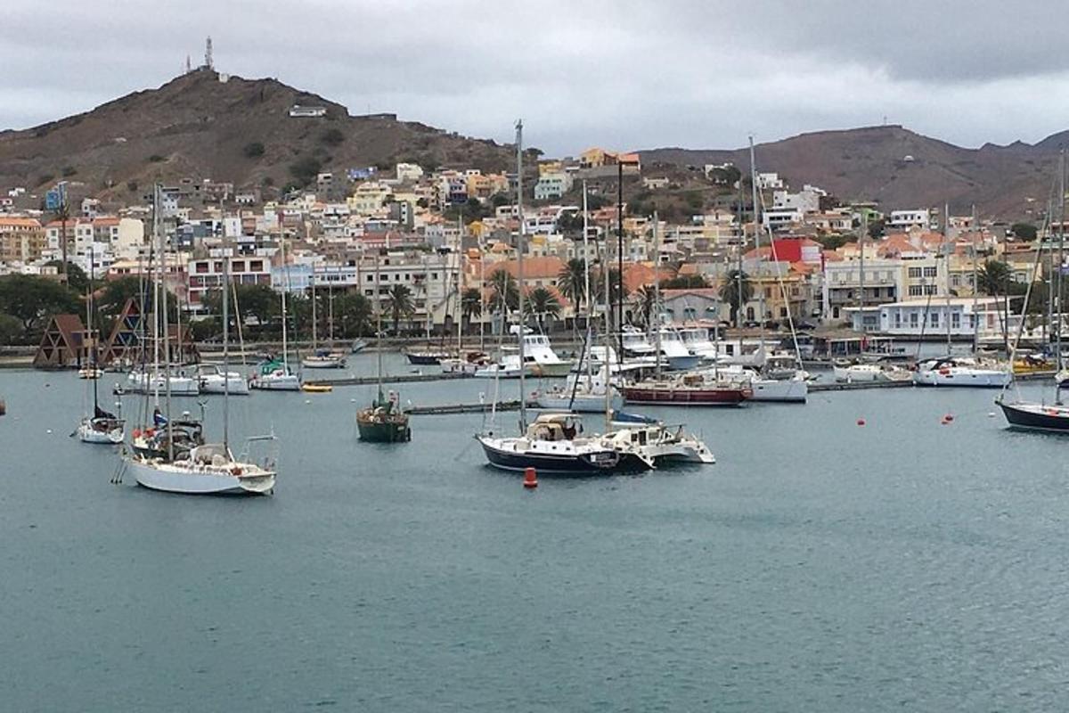 a group of boats docked in a harbor with a city