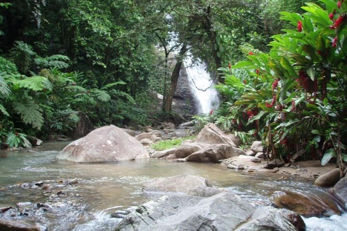 a waterfall in the middle of a river with rocks