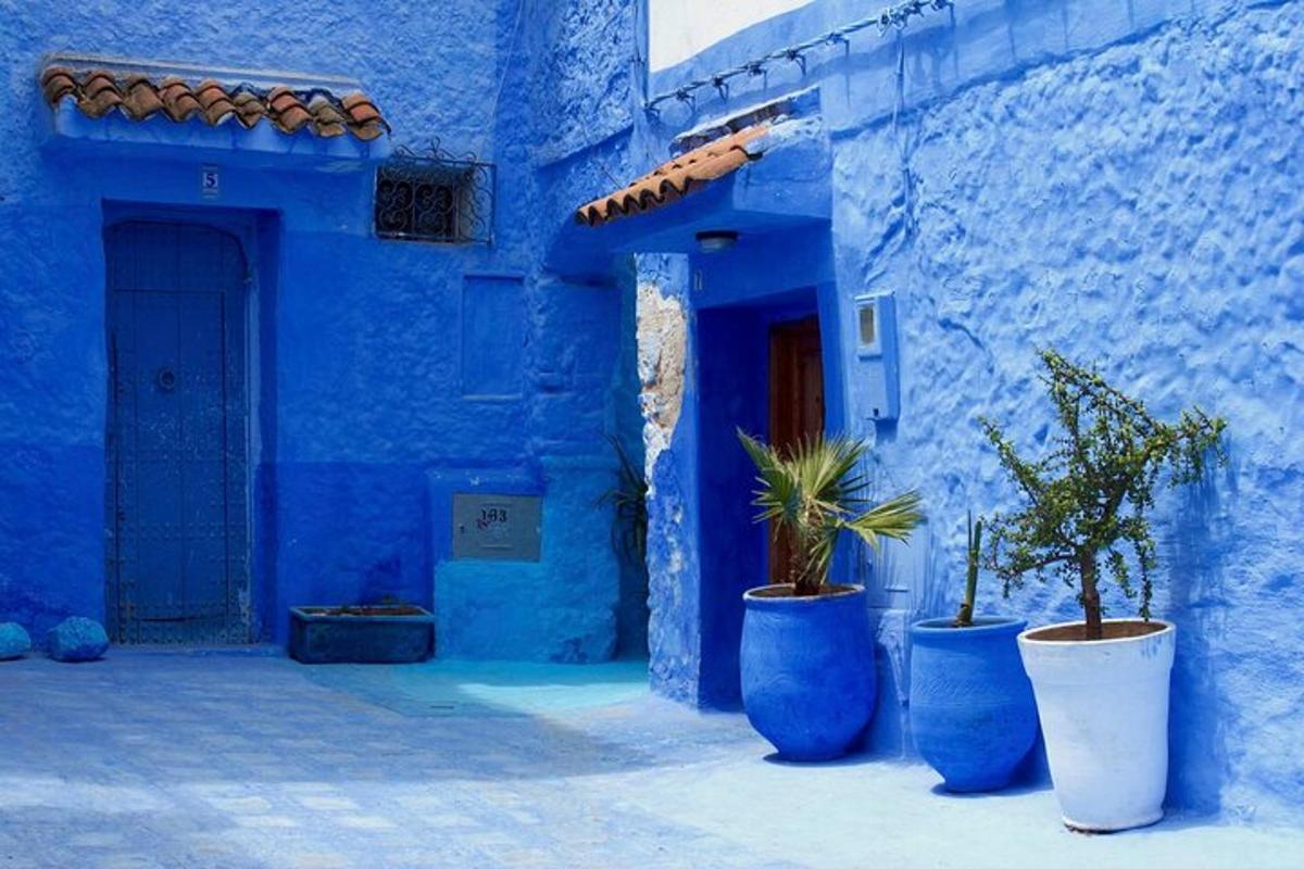a blue building with three blue pots with plants in it