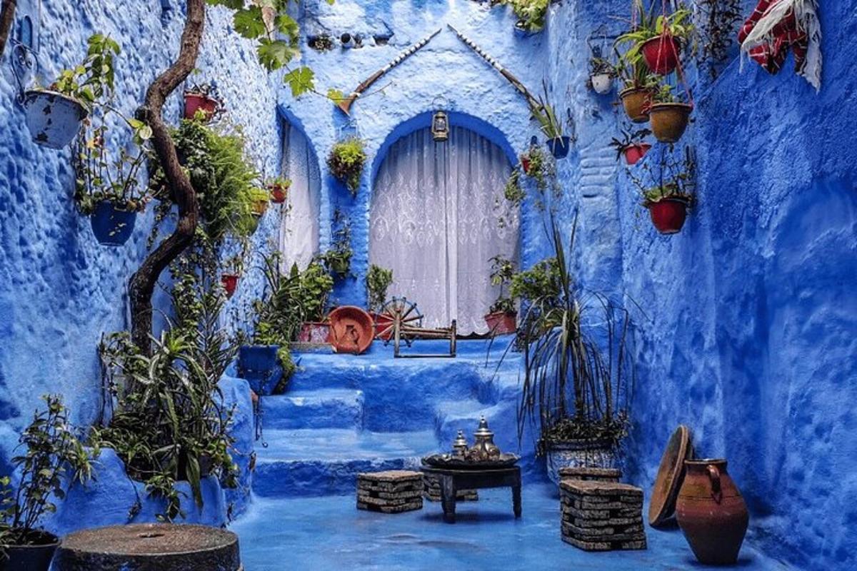 una habitació blava amb plantes en test i una finestra