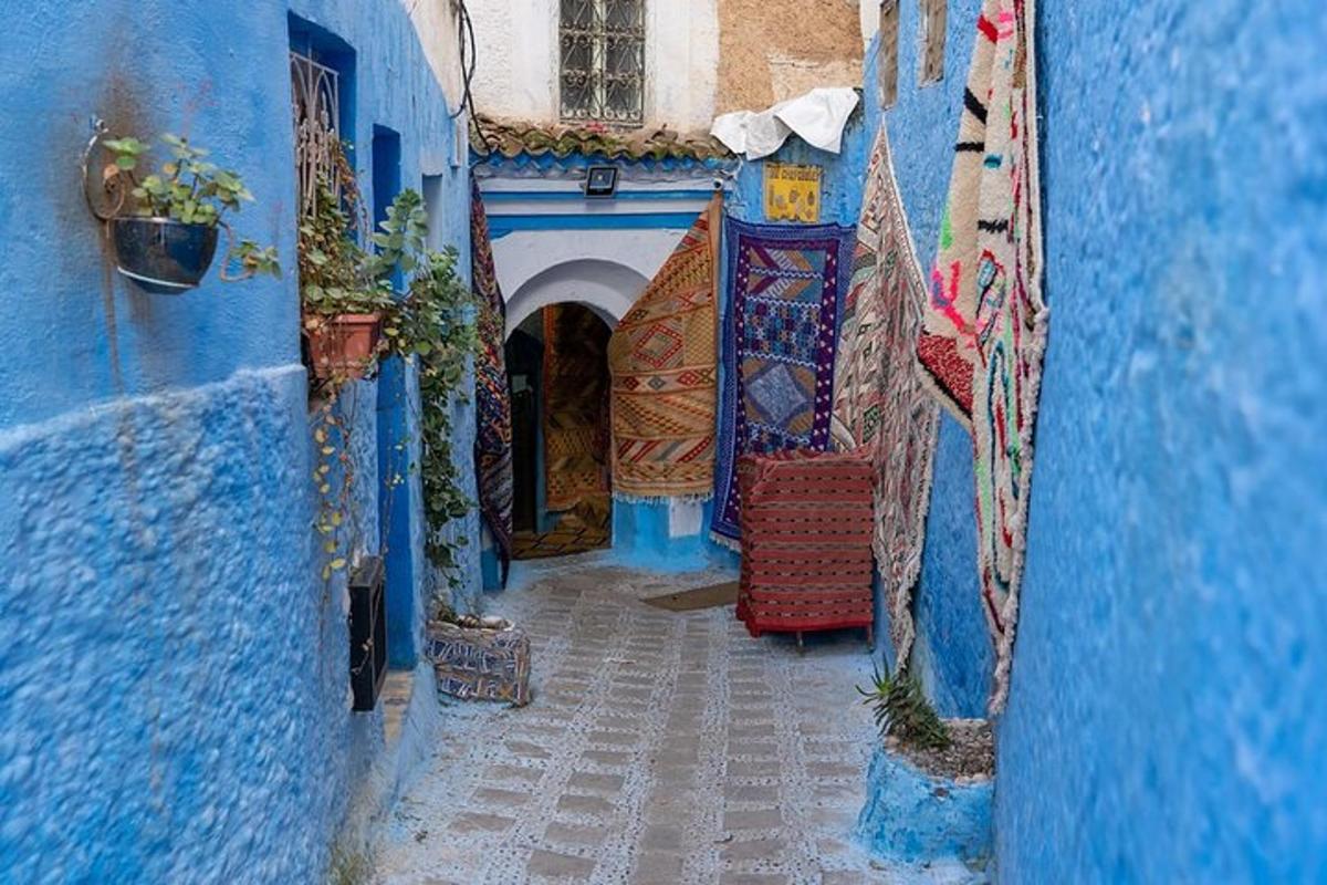 uno stretto vicolo con edifici blu e piante