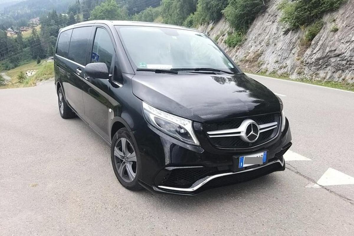 Černá dodávka Mercedes Benz zaparkovaná na silnici