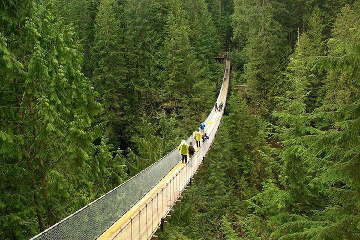 sekumpulan orang berjalan di atas jambatan di dalam hutan