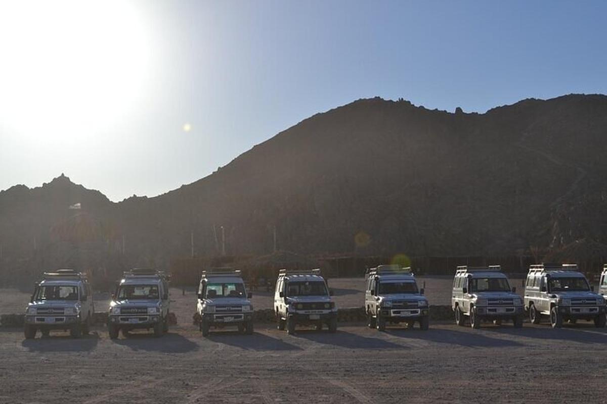 un grupo de vehículos estacionados en un estacionamiento