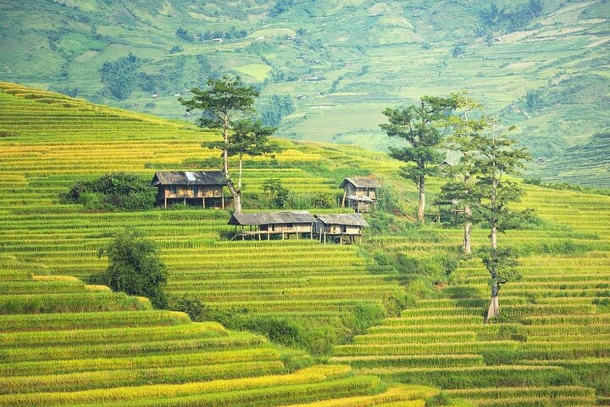 a painting of a village in a field of crops
