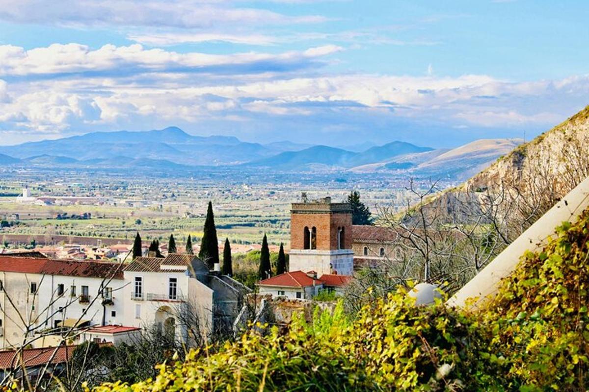 μια θέα μιας πόλης με βουνά στο βάθος